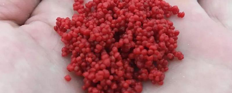 自制钓鱼小药配方大全？