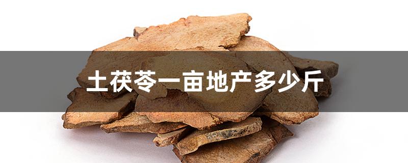 土茯苓一亩地产多少斤