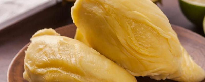 榴莲适合在广西种植吗？