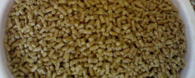 夏季钓鲤鱼老三样饵料配方？