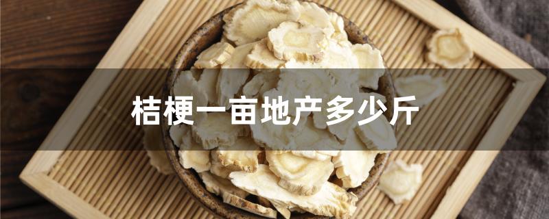 桔梗一亩地产多少斤