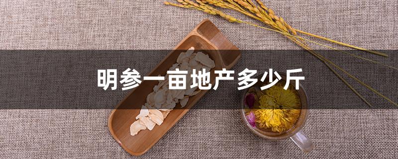 明参一亩地产多少斤