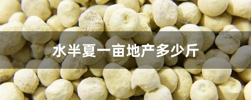 水半夏一亩地产多少斤