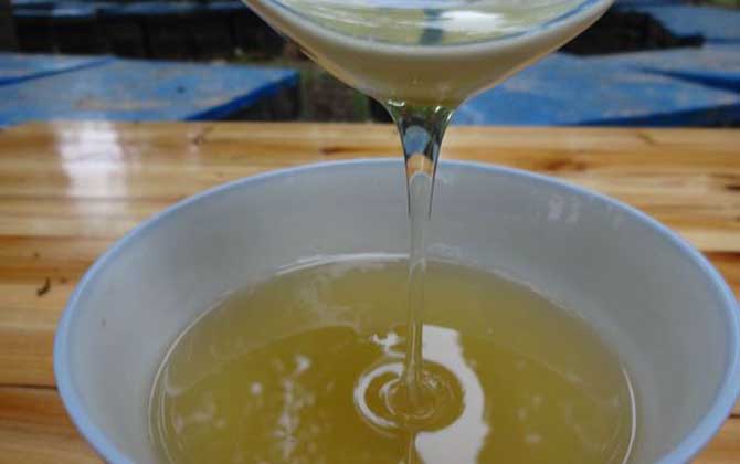 纯野生蜂蜜可以放多久