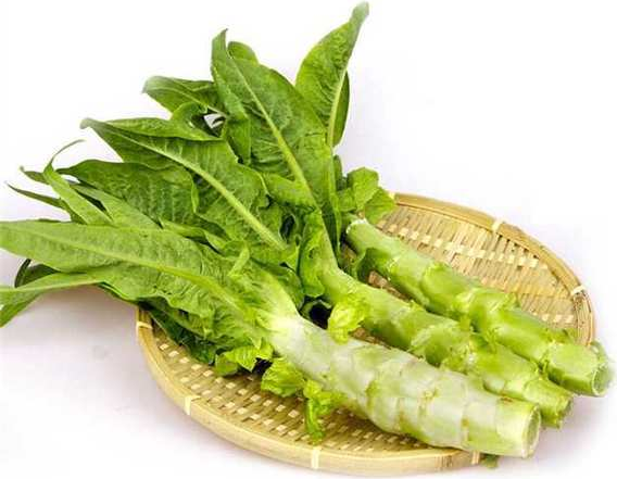 秋季下火的十种蔬菜有哪些?