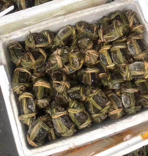 如何让大闸蟹保鲜存活?