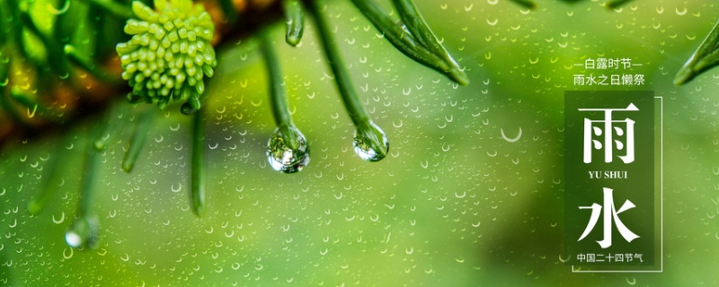 雨水节气是什么意思，雨水节气的天气怎样