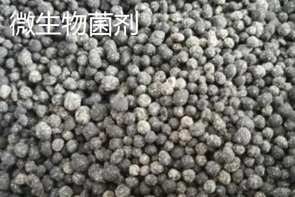 微生物菌剂和微生物菌肥有什么区别