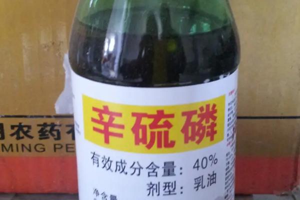 草坪上面用什么药物杀菌杀虫