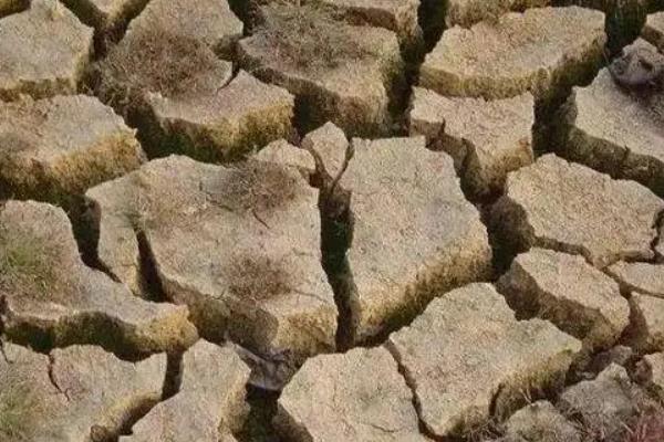 使用哪种氮肥最容易引起土壤板结