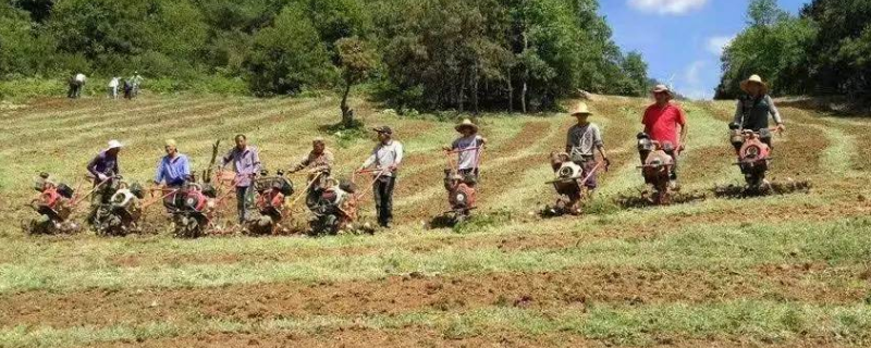 关于人工种草有哪些好处，有以下五大优点