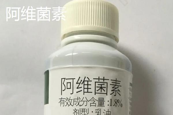 鳞翅目害虫用什么药防治