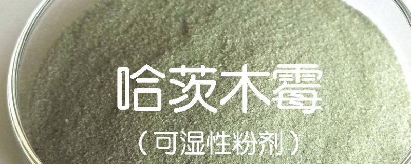 哈茨木霉要怎么使用，有什么作用，用量是多少