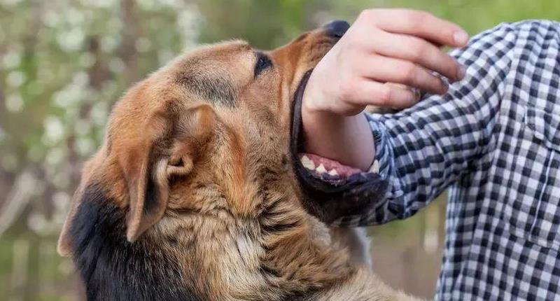 狂犬病的早期症状有哪些？兴奋期有什么表现