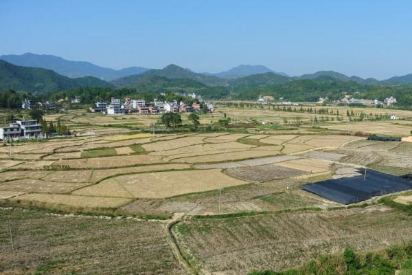 永久基本农田的面积