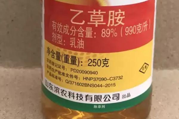 玉米出苗后能不能使用乙草胺