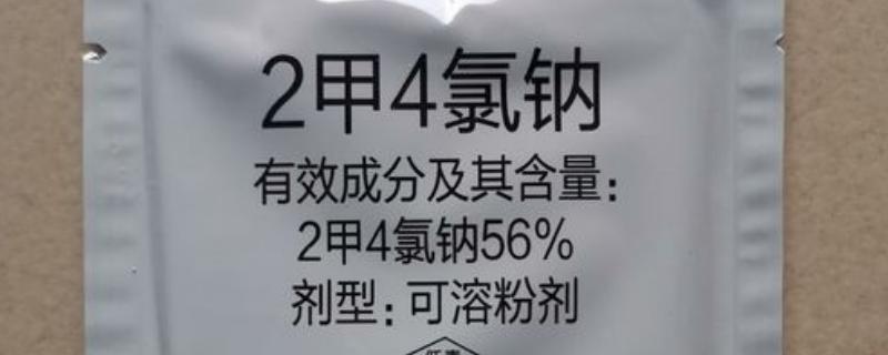 喷施2甲4氯钠过多久才能种玉米