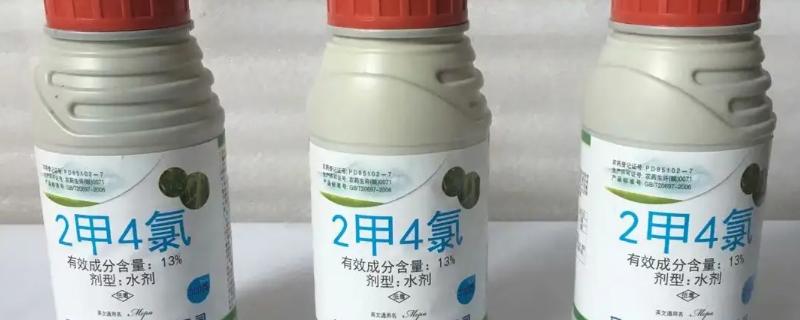 水稻孕穗期能不能使用二甲四氯