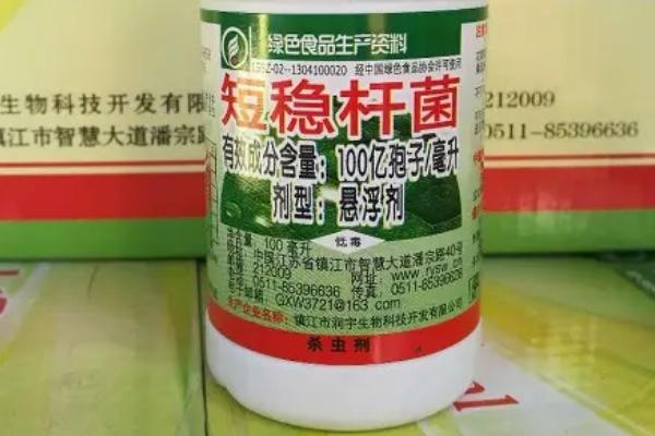 短稳杆菌杀虫剂的特点