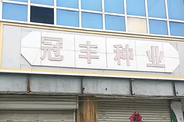 国审玉米品种十大名牌排行榜