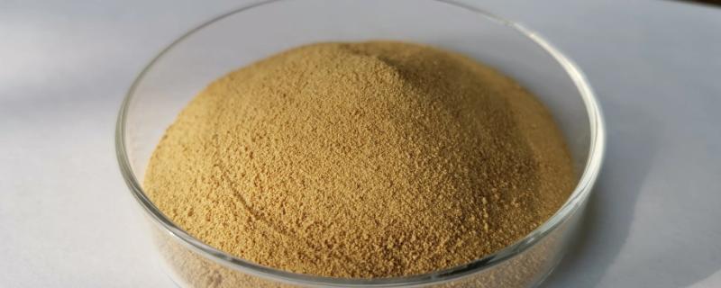 如何制作鱼蛋白肥料