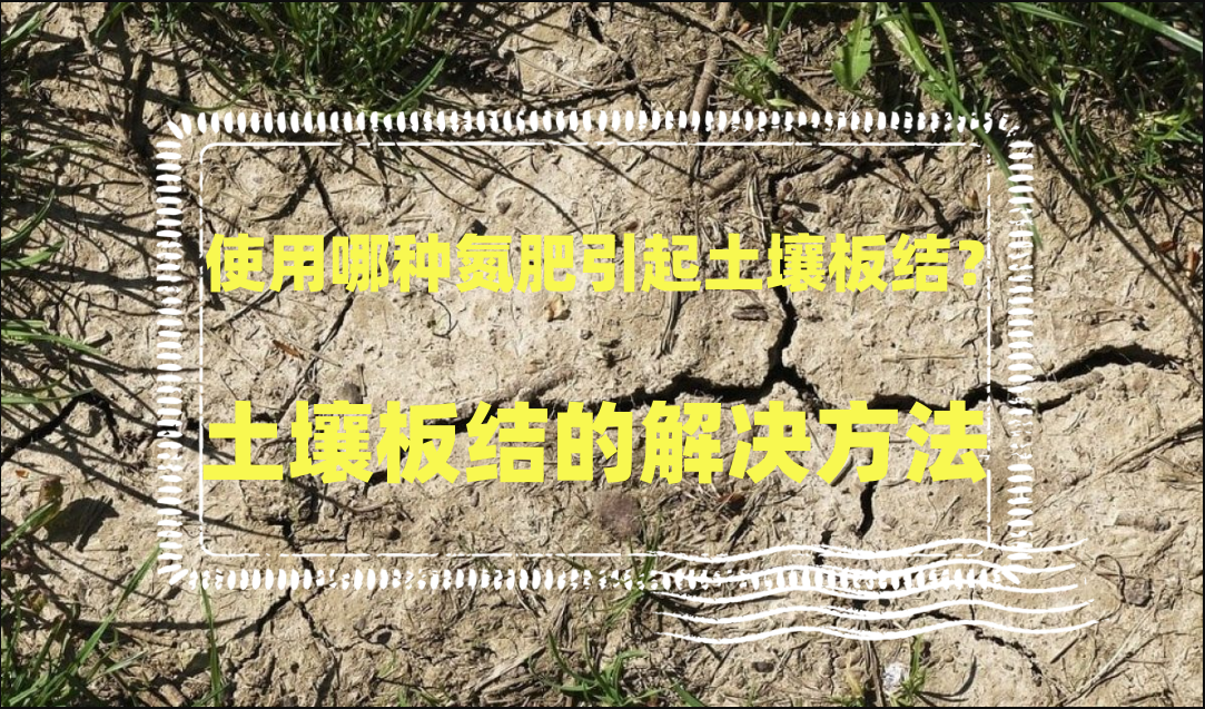 使用哪种氮肥引起土壤板结?土壤板结的解决方法