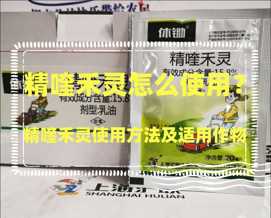 精喹禾灵怎么使用?精喹禾灵使用方法及适用作物