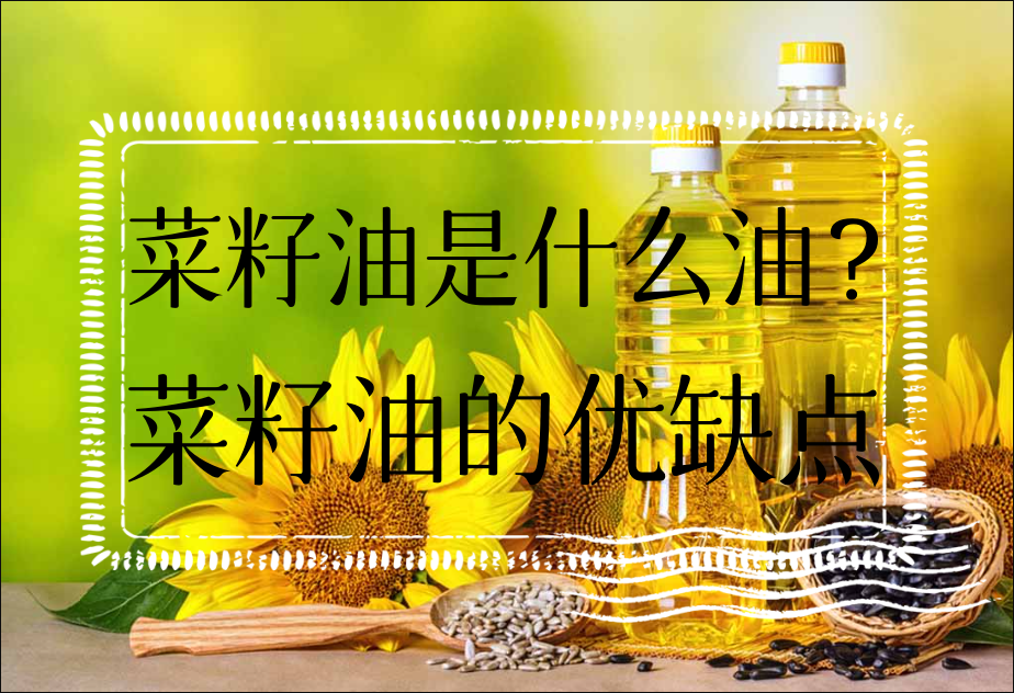 菜籽油是什么油?菜籽油的优缺点