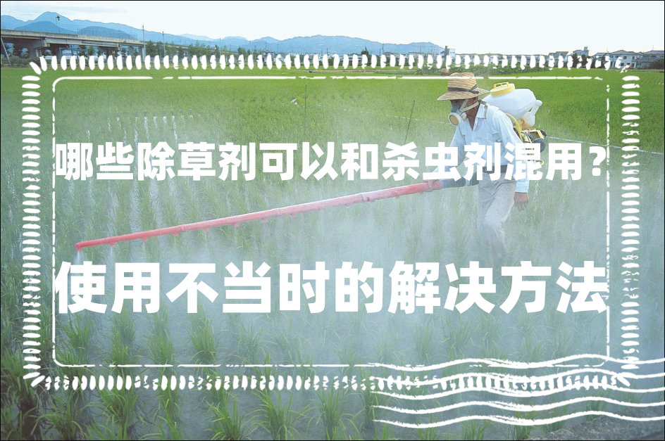 哪些除草剂可以和杀虫剂混用?使用不当时的解决方法