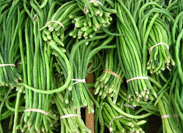 豇豆是双子叶还是单子叶?种植条件有有哪些?