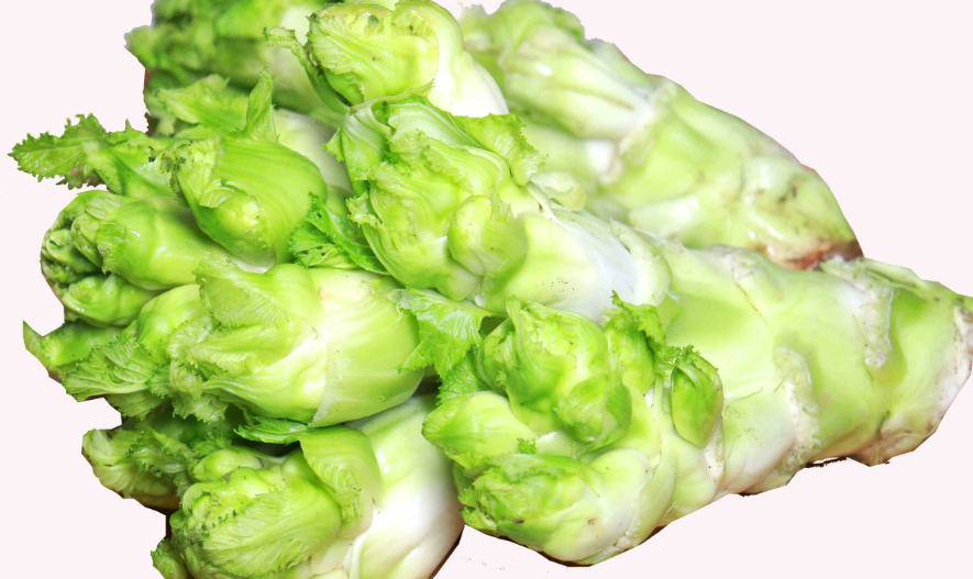 儿菜通常是几月份栽?儿菜的栽培相关