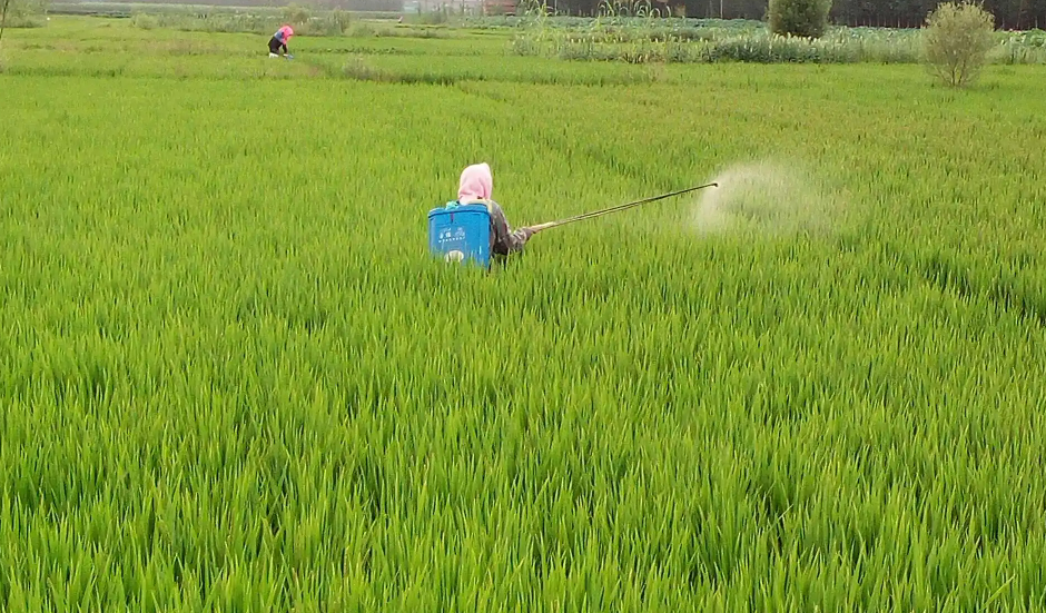 氯溴异氰尿酸的作用是什么?