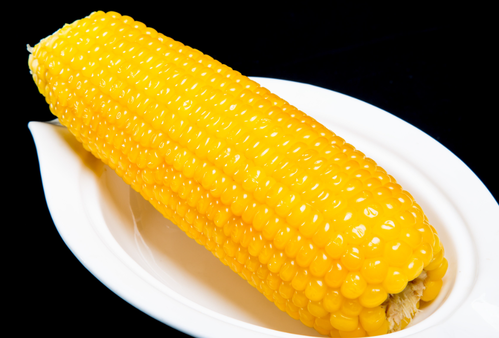 作物熟制是什么意思?作物熟制区的分类