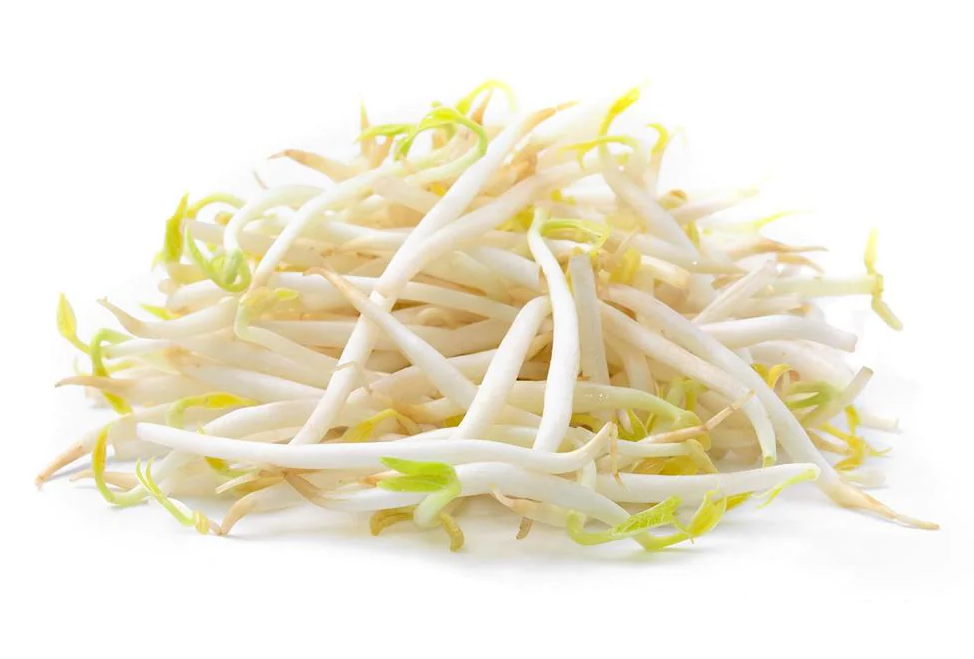 如何使用家用豆芽机生豆芽?
