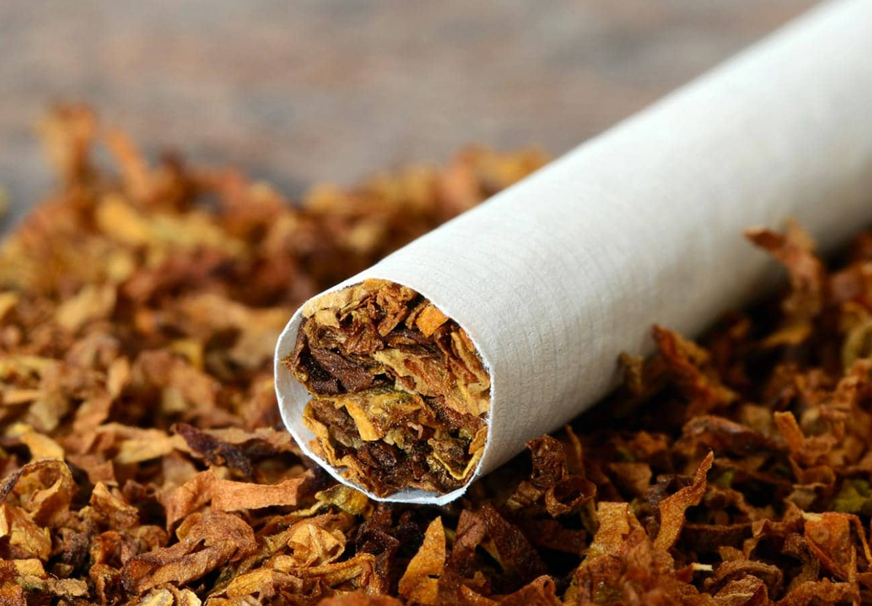 烟草有哪些特点?目前我国的烟草种植情况介绍