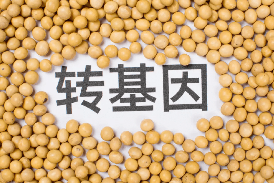 转基因农作物的定义,转基因农作物的特点及法律相关介绍