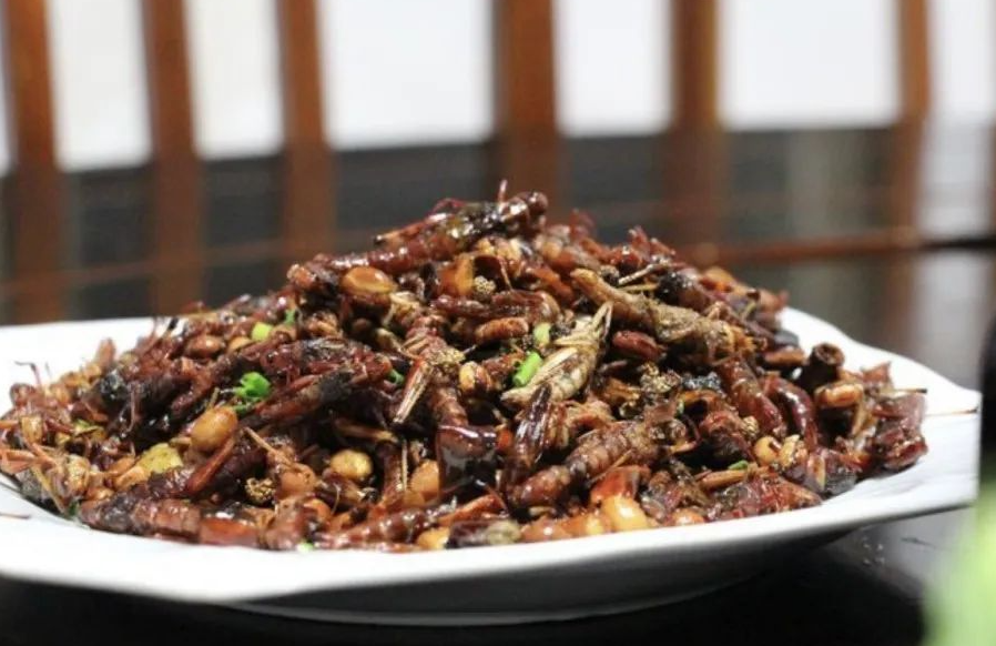 蝗虫的历史从什么时候开始? 能否作为食物?