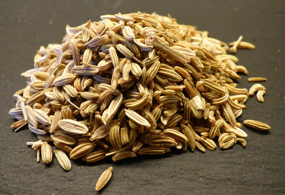 小茴香和大茴香有什么区别?用法一致吗?