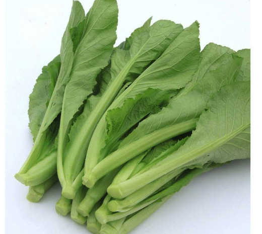 冬天可以种植的蔬菜有哪些,需要注意什么?