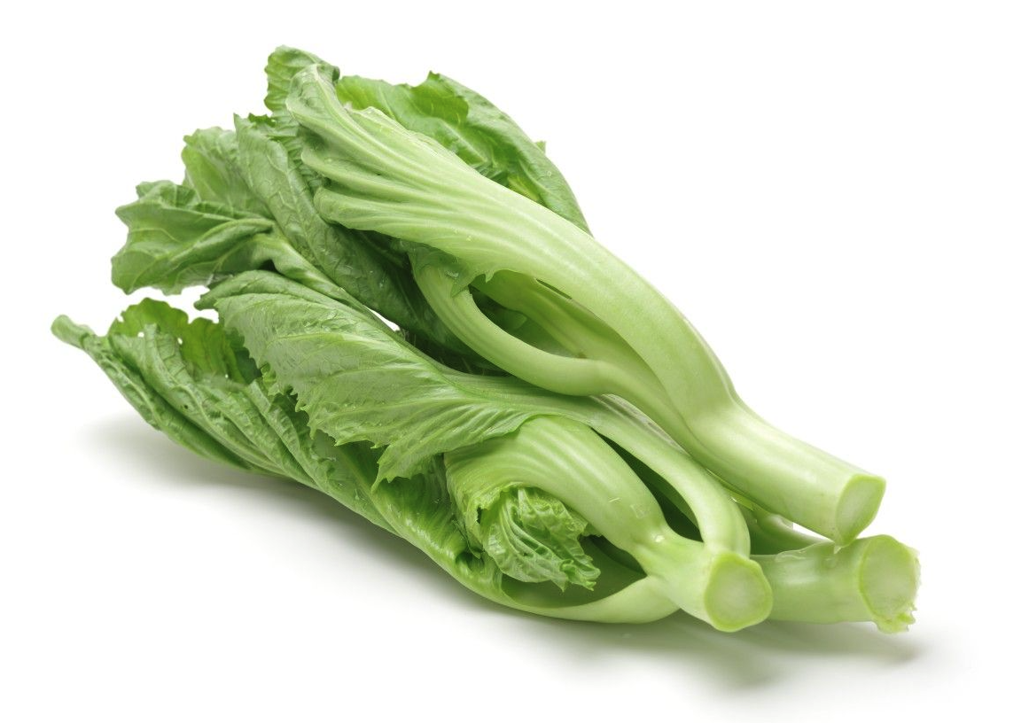 芥菜是野菜吗?芥菜的人工培育和种植须知