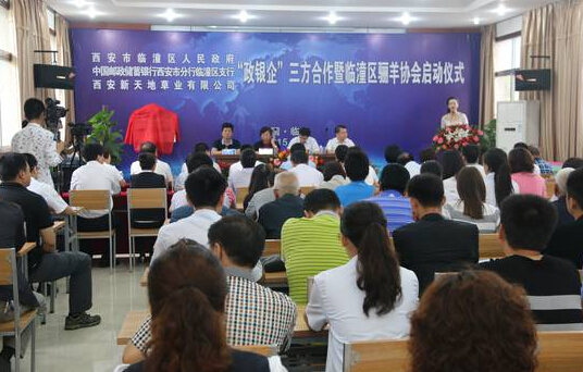 肉羊融资启动仪式会场